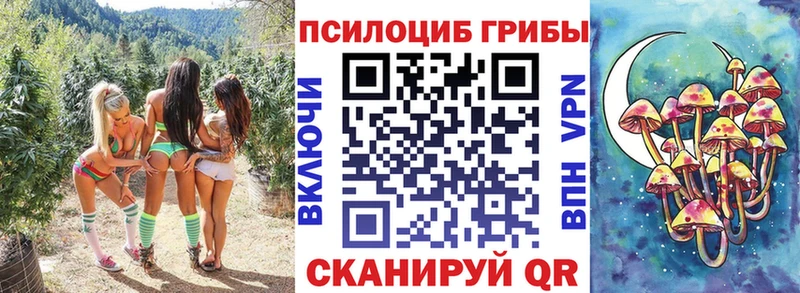 Галлюциногенные грибы MAGIC MUSHROOMS  Купить где  Туран 