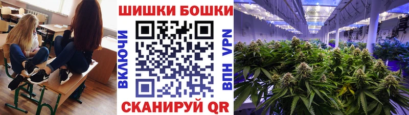 Купить закладки  Туран  Бошки Шишки White Widow 